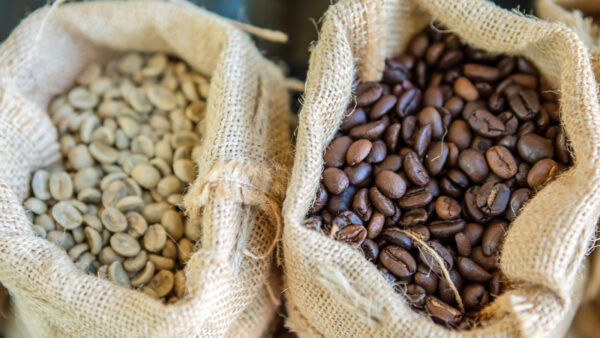 Kávépörkölés – A folyamat, ami lelket ad a kávészemeknek - Boro Coffee